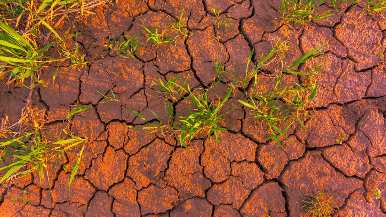 Il WWF riporta al centro della campagna elettorale i cambiamenti climatici