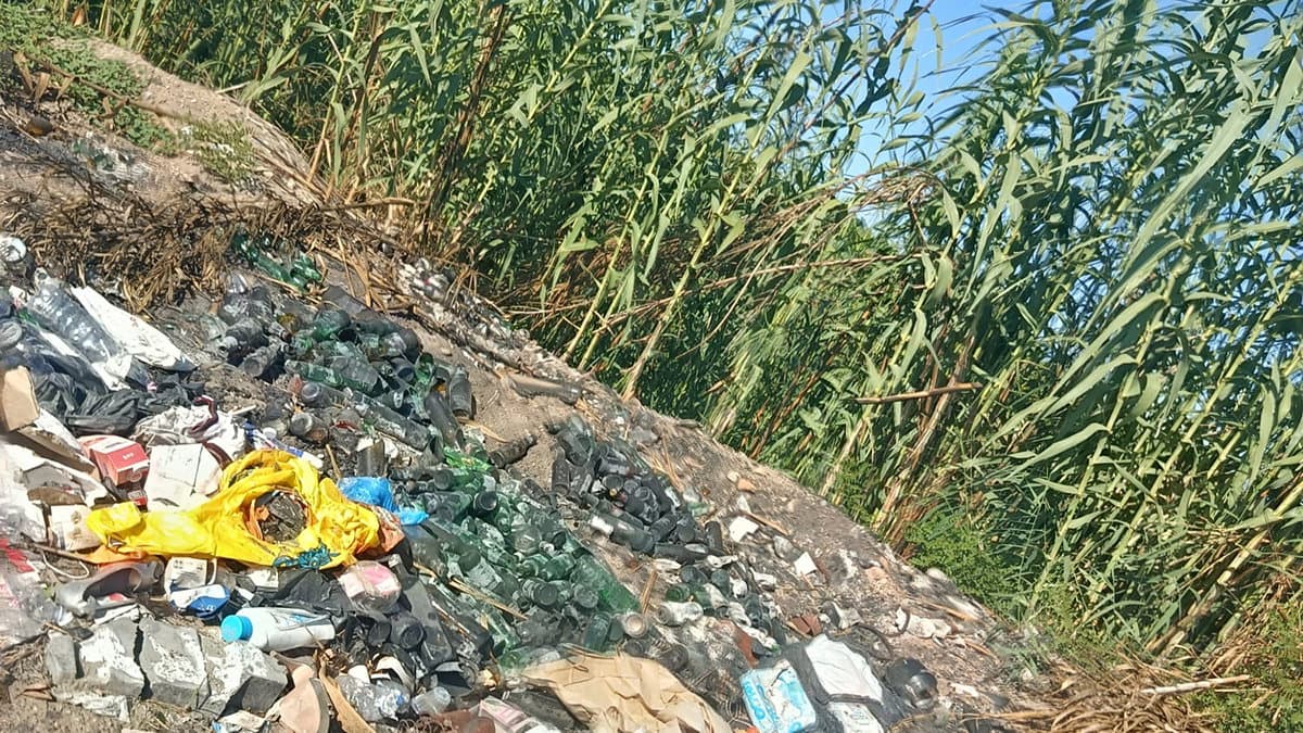 Torrente Leccalardo soffocato da rifiuti e incuria: cresce la preoccupazione dei residenti