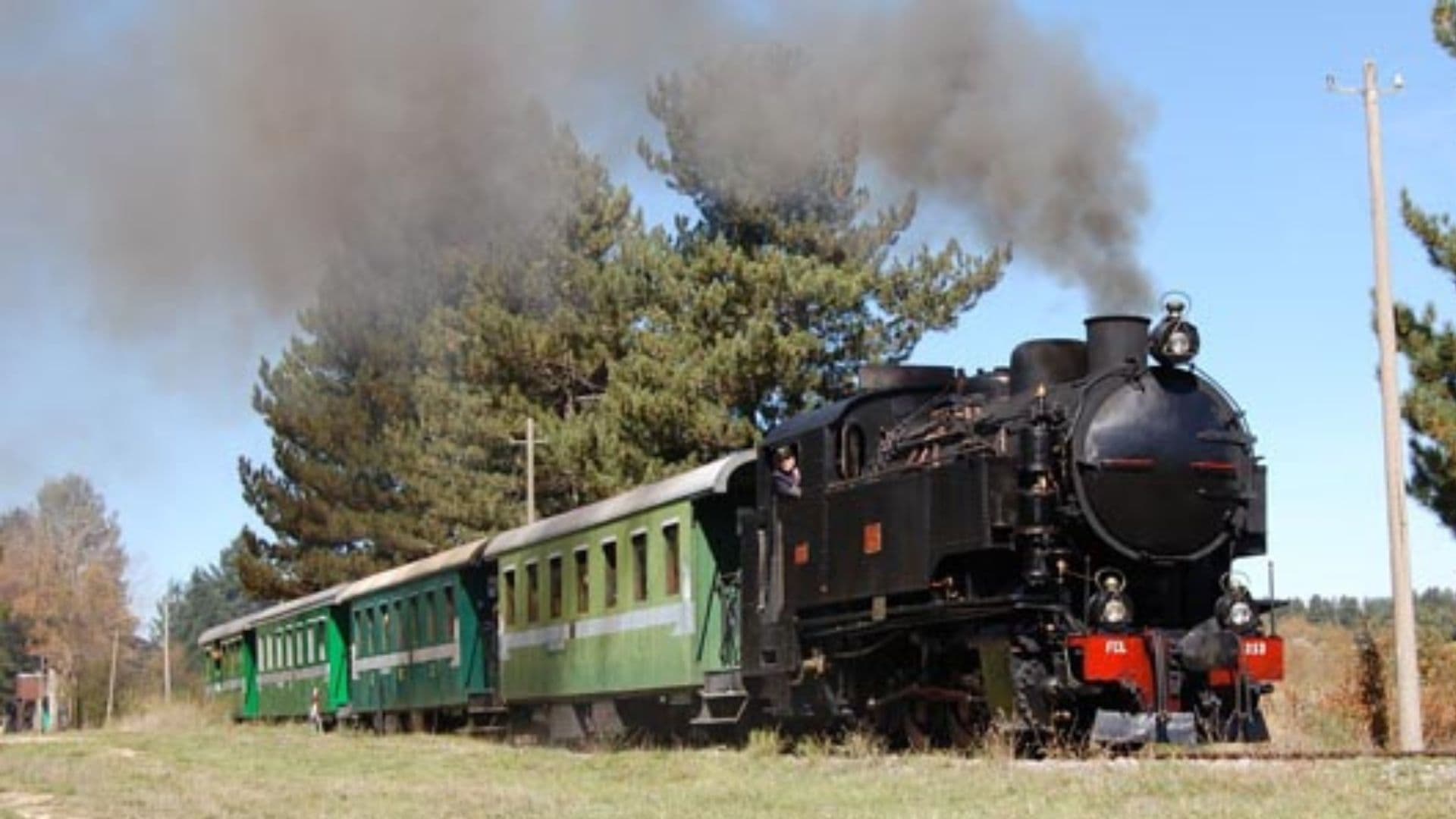L'Archivio di Stato di Cosenza inaugura la mostra "In viaggio sul treno della Sila"