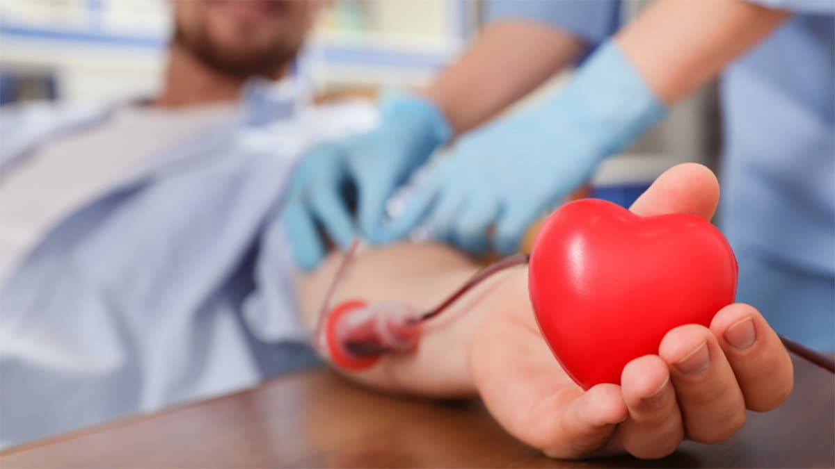 Raccolta sangue e plasma, la provincia di Cosenza è in sofferenza: «Dobbiamo donare di più»