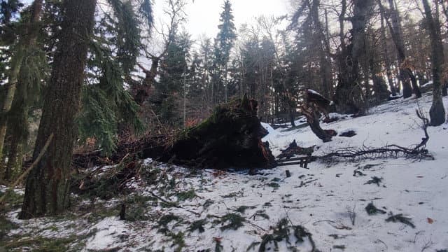 Cozzo del Pesco, un anno dopo: il silenzio che uccide. E ora l’inverno farà il resto