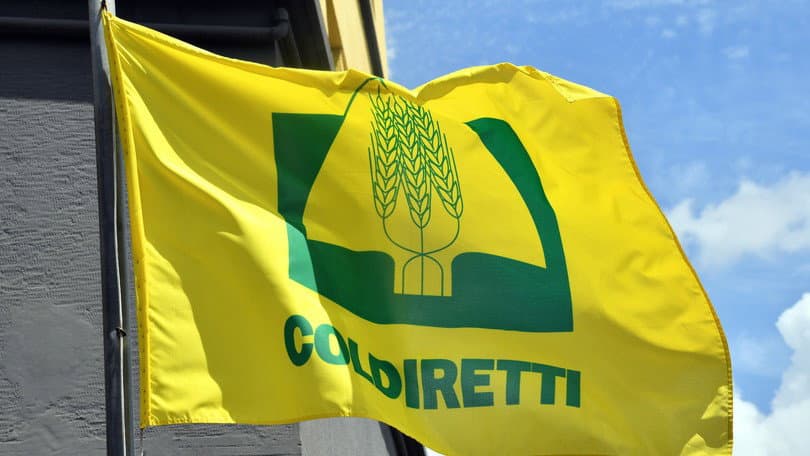 Coldiretti e Unaprol sul raddoppio import olio tunisino a dazio zero: «Grave danno per la Calabria»