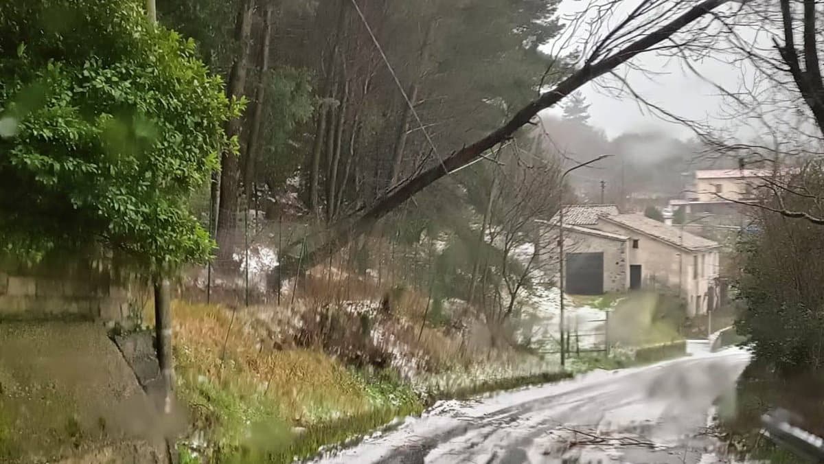 Maltempo, a Morano albero cade sui cavi elettrici: intervento in corso in località Terrarossa