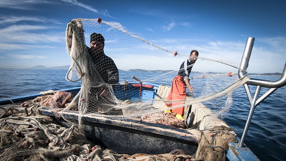 Pesca Ue, Unci AgroAlimentare: «Il ricorso al governo contro sistemi controllo entra nella fase decisiva»