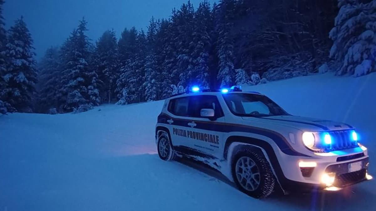 Sila, caccia illegale a cervi e caprioli: intervento della Polizia Provinciale