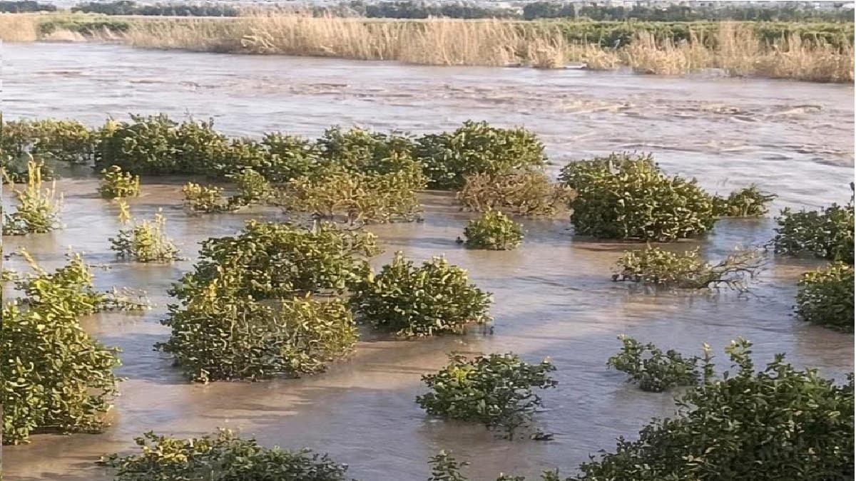 Maltempo: oltre 3mila ettari agricoli colpiti, 900 sommersi dal Crati tra Corigliano-Rossano e Cassano