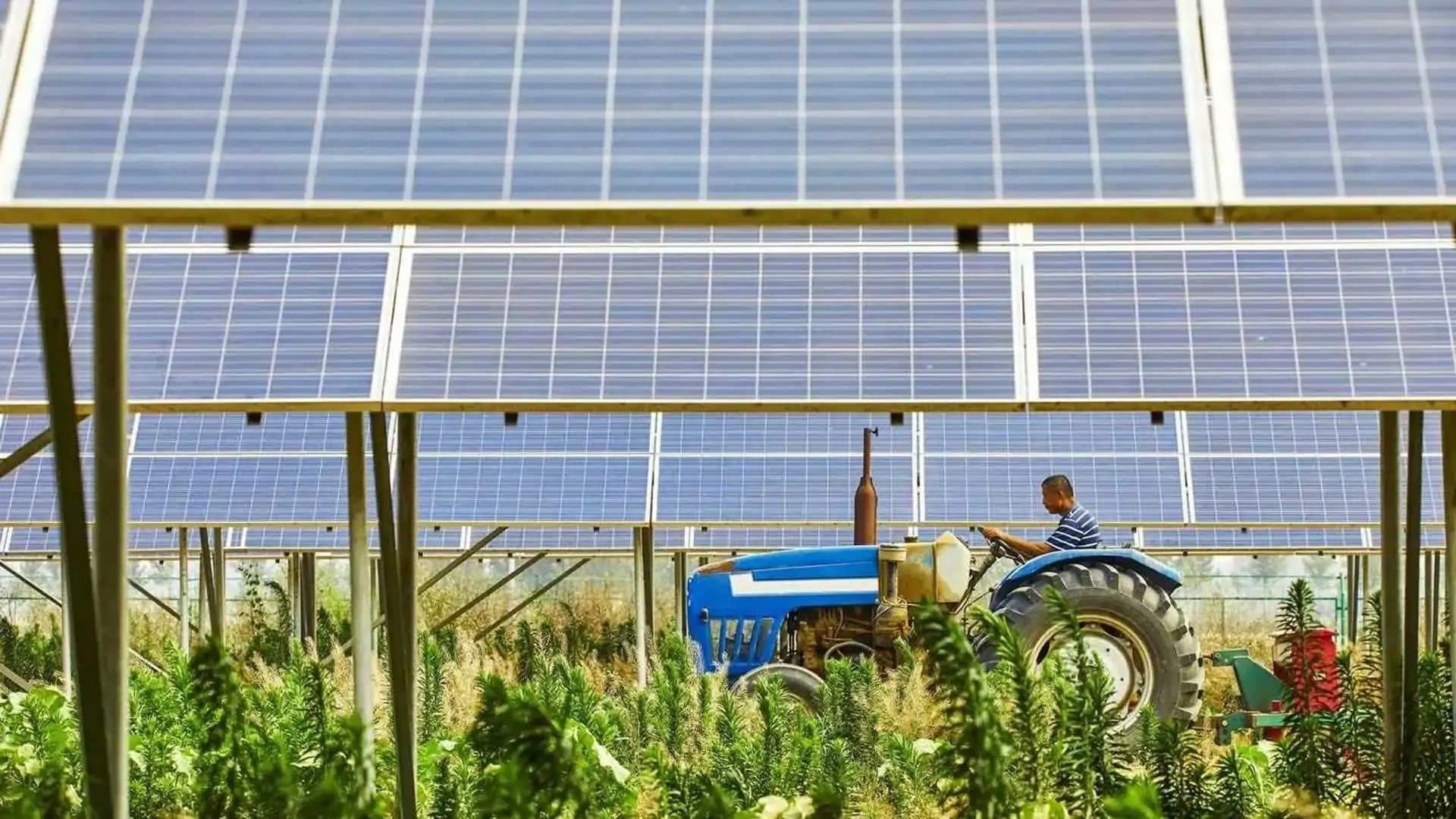 Agrisolare, Omnia: adeguarsi subito per non perdere gli incentivi