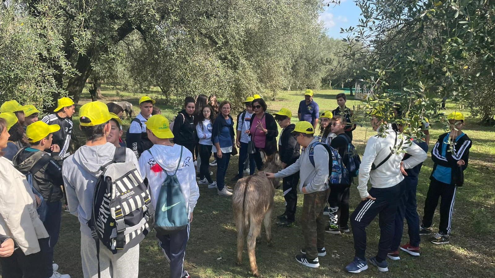 Coldiretti, oleoturismo in crescita del 37%: Calabria tra le regioni chiave per sviluppo e occupazione