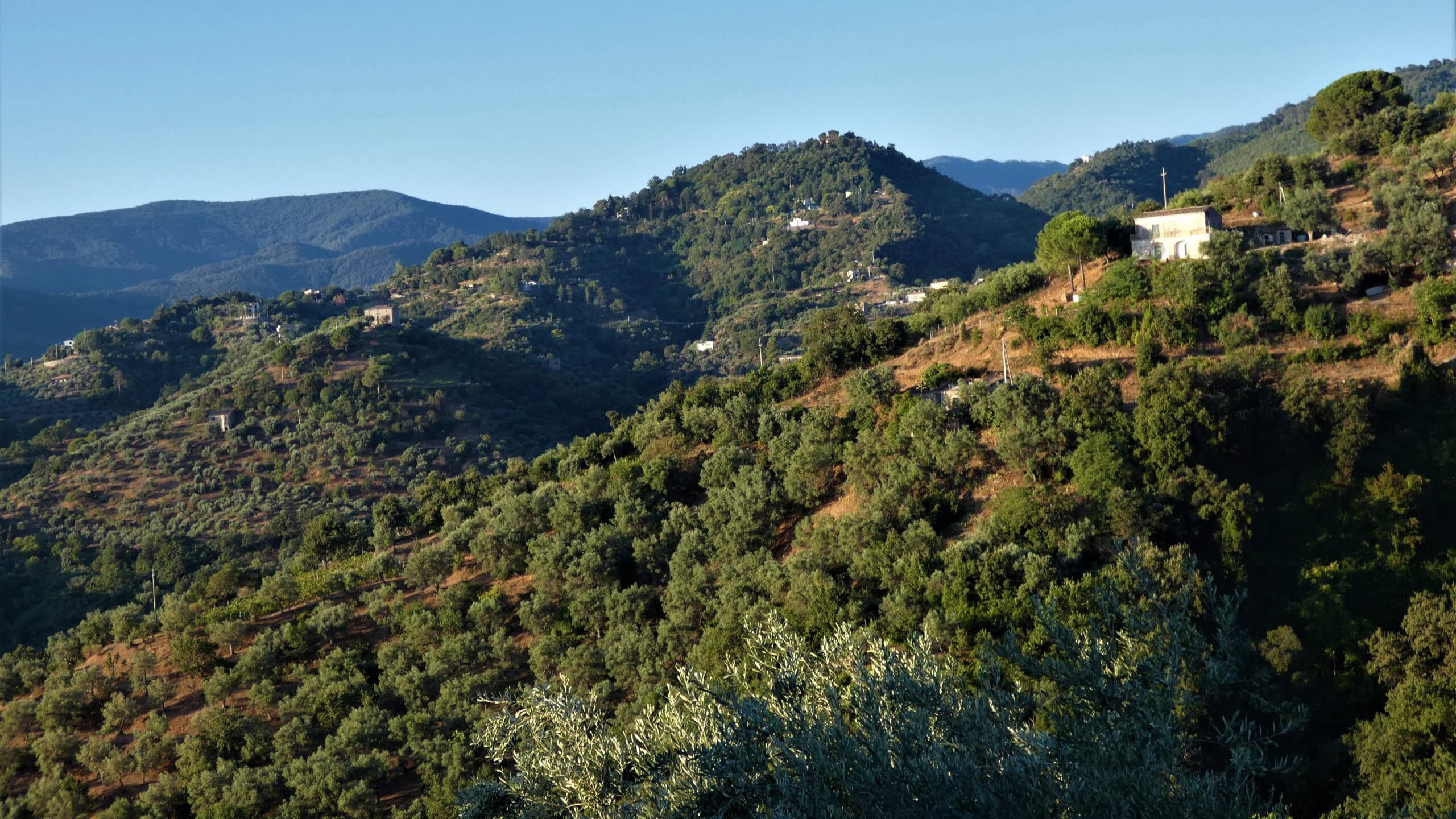 Fondi per la montagna, parte la verifica Uncem: sotto controllo 500 milioni destinati ai territori
