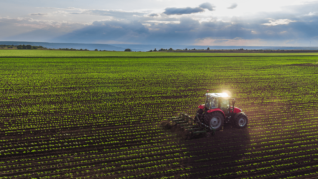 Agricoltura e innovazione, la svolta parte dalla Sibaritide: esperti, istituzioni e giovani a confronto