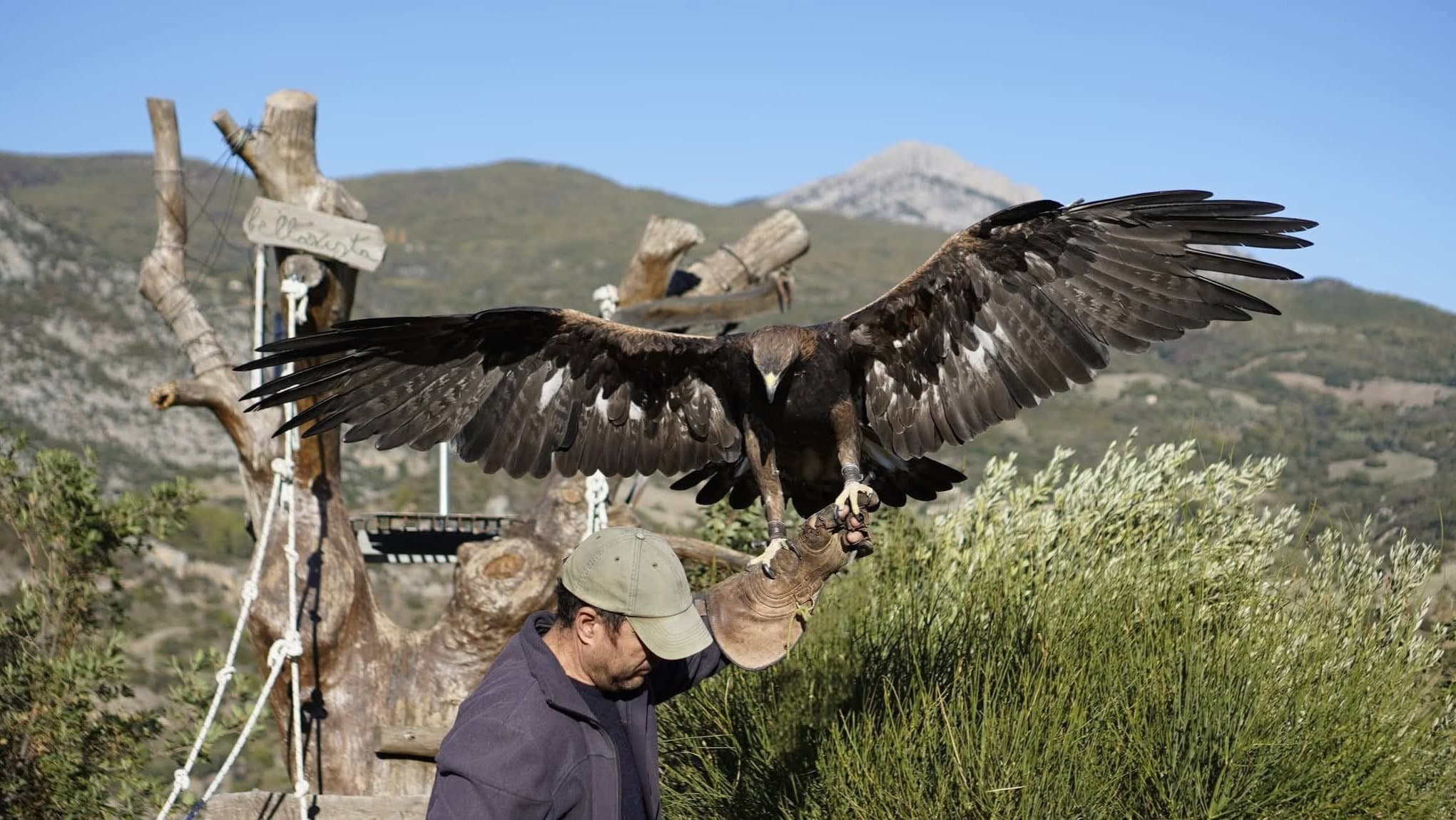 Pasquetta a Civita tra rapaci e leggende: l’esperienza immersiva dei Falconieri Dei Setteventi