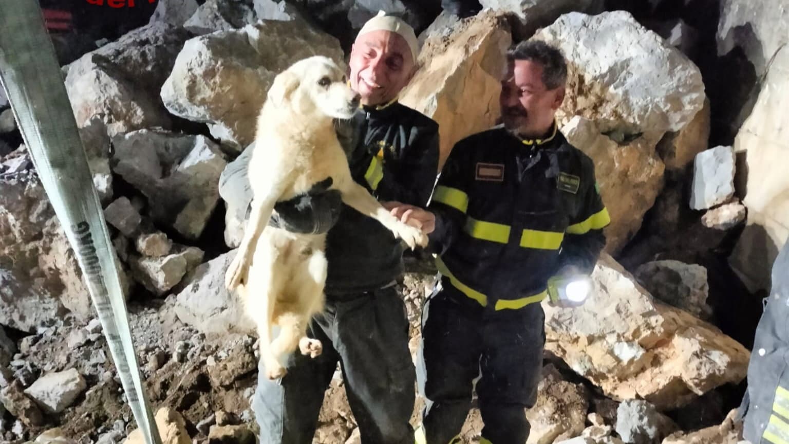 Incastrato tra i massi del porto, salvato un cane a Schiavonea