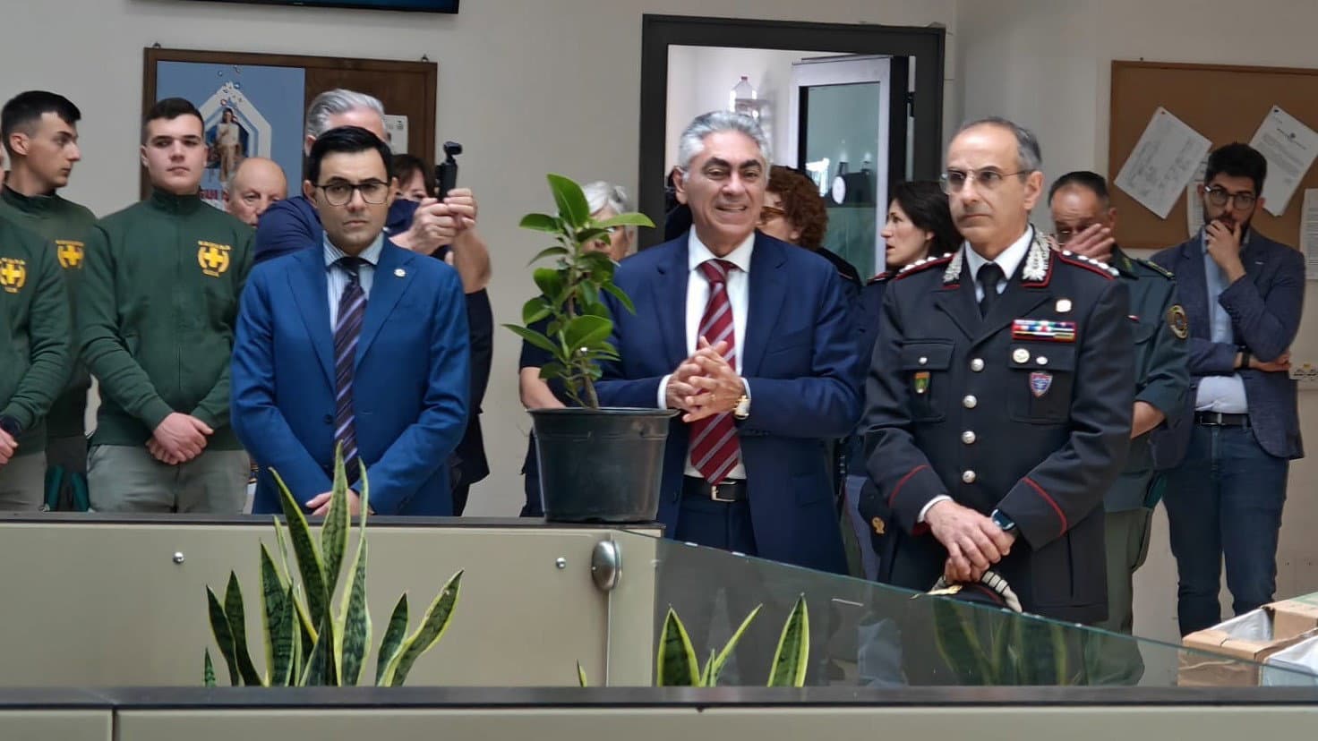 Castrovillari celebra la memoria di Falcone: piantato l’Albero della legalità davanti al Tribunale