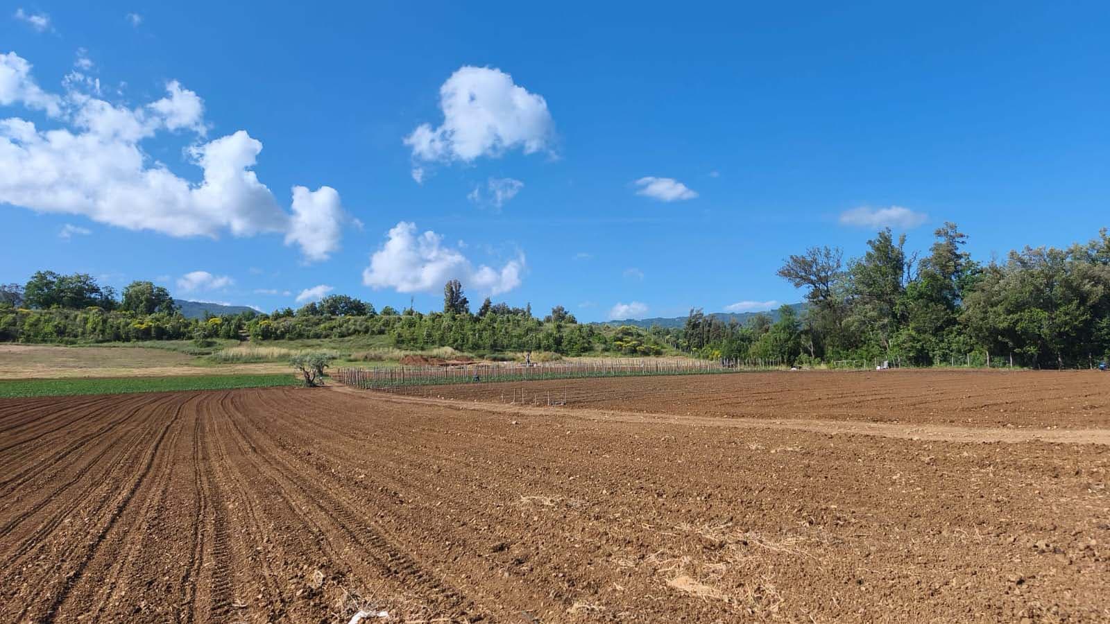 Laino Borgo, Santa Gada torna a raccontare la Calabria antica: partita la settima campagna di scavi