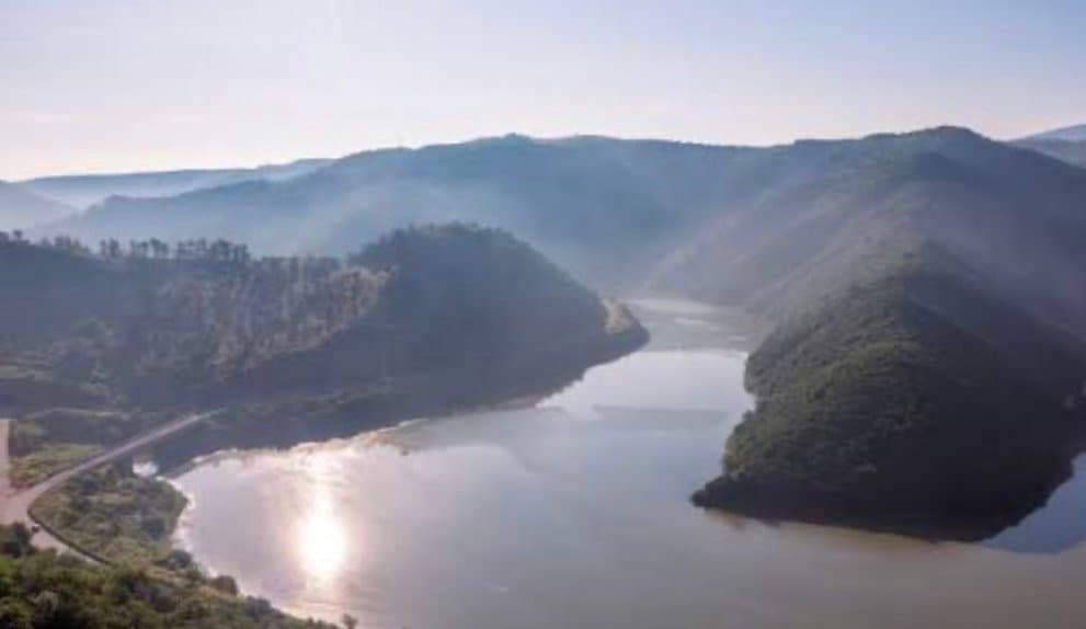 Riserve Lago di Tarsia e Foce Crati, l’Atlante degli Uccelli Nidificanti al centro di un evento sulla biodiversità