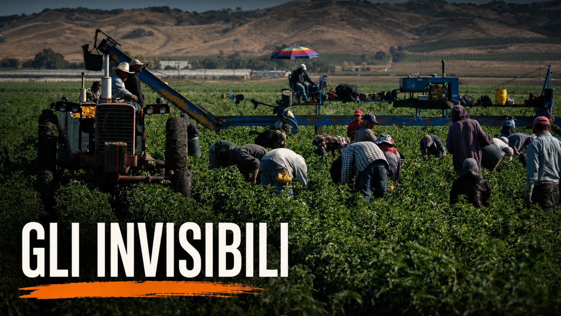 Caporalato e sfruttamento nella Sibaritide: la Cgil accende i riflettori sui "campi invisibili"