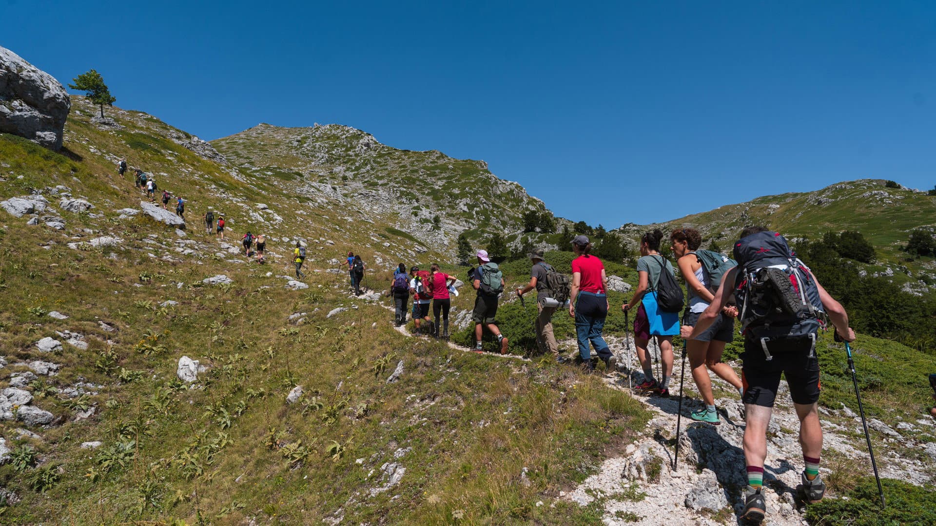 Tutto pronto per Va' Sentiero Fest 2026: tredici giorni di cammino nel cuore del Pollino