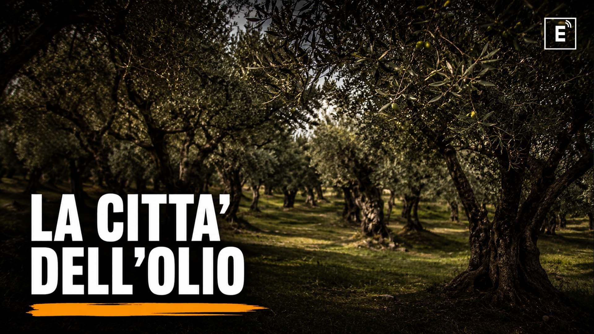 Città dell’Olio, parte oggi a Corigliano-Rossano la Convention nazionale: tre giorni di lavori