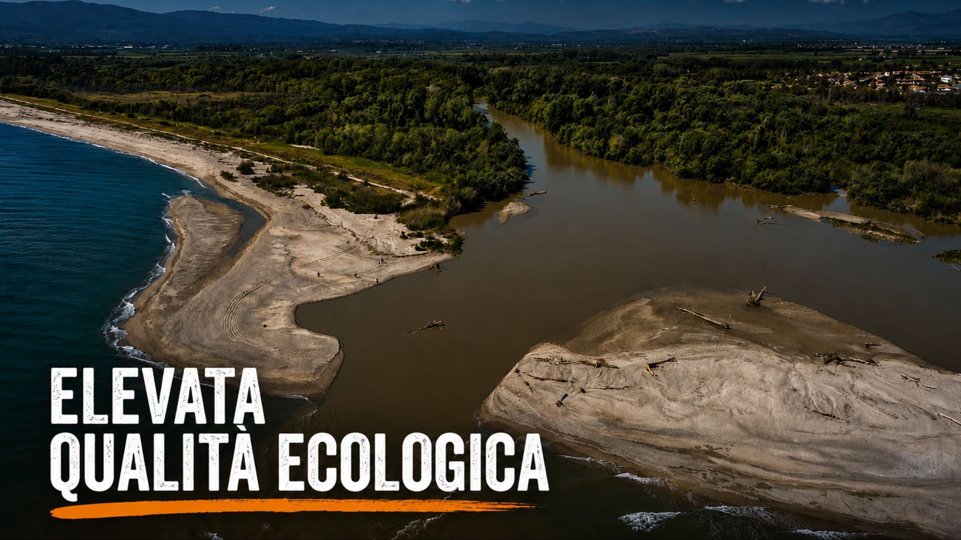 Foce del Crati, i monitoraggi premiano la Riserva: acque in equilibrio e nessun segnale di eutrofizzazione
