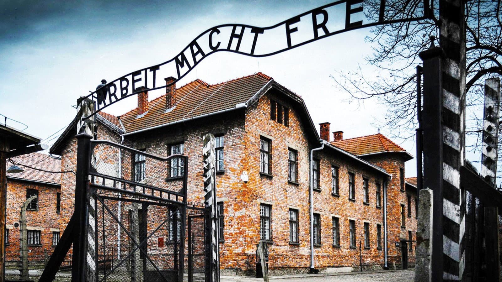 Da Ferramonti ad Auschwitz, venti studenti del Fermi-Pitagora-Calvosa in viaggio dentro la Memoria