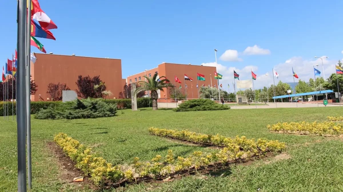 L’Unical apre ancora di più le porte al mondo: nasce il servizio per accogliere gli studenti internazionali