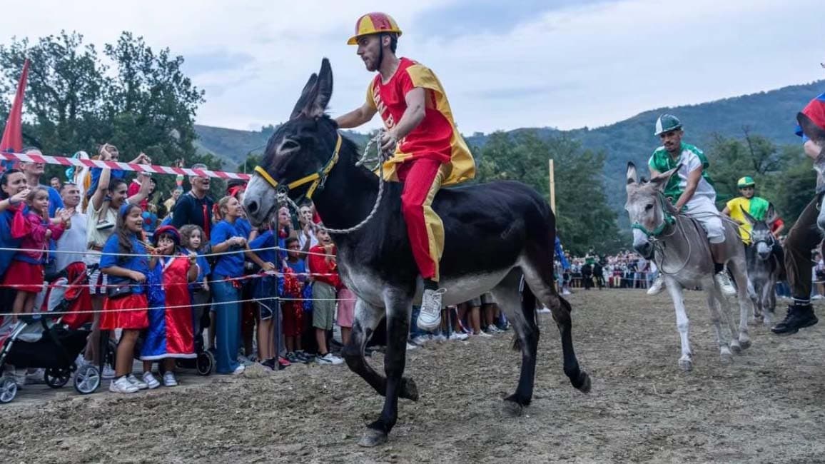 Laino Borgo, San Biasu conquista il Palio cu i ciucci: Cersosimo cade due volte ma vince con “Cancarieddu”