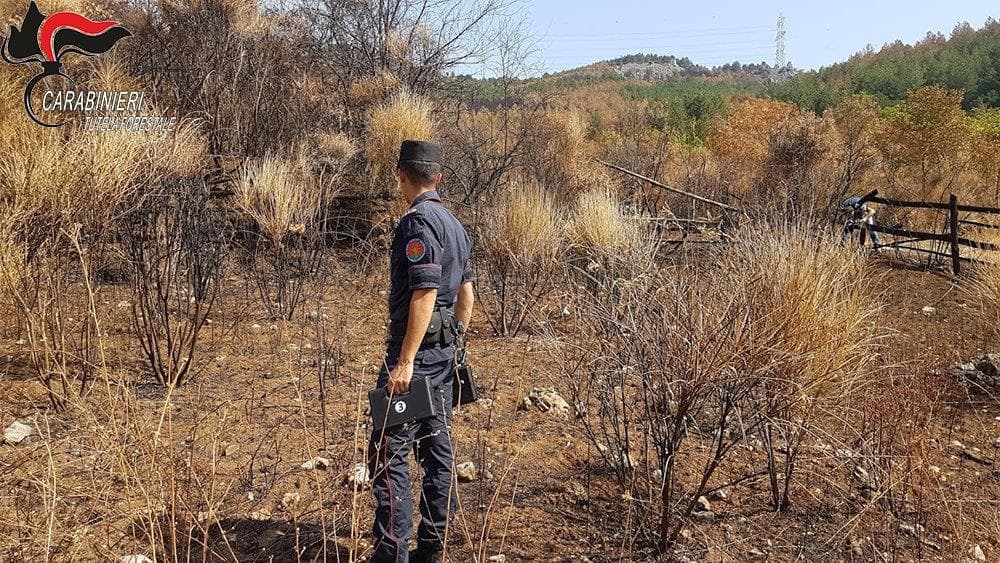 Cariati: danno fuoco ai terreni per trarne profitto