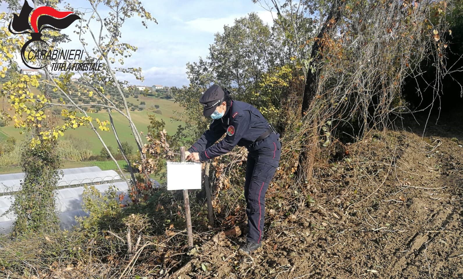 Estirpavano la vegetazione senza autorizzazione, denunce e sequestri dei Carabinieri
