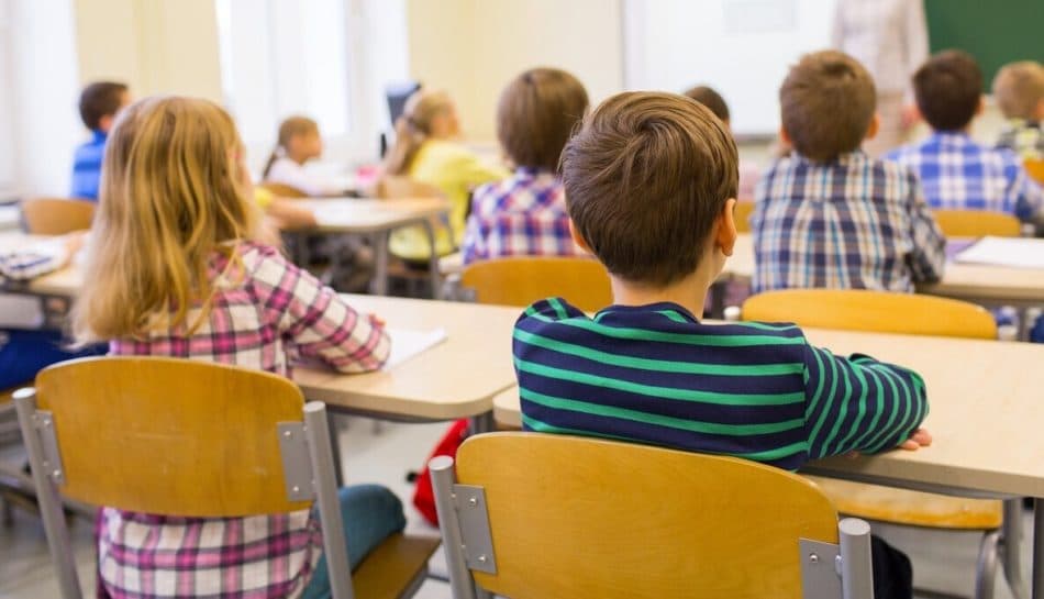 Il Tar Calabria annulla l'ordinanza del sindaco Stasi: elementari e medie possono tornare a scuola
