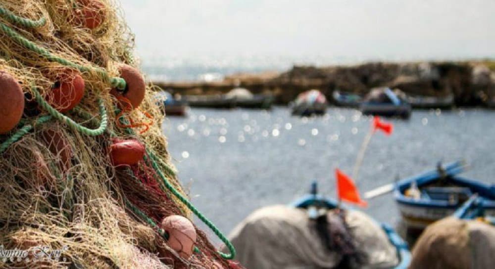 Corigliano-Rossano: la minoranza chiede un Consiglio Comunale monotematico sulla pesca