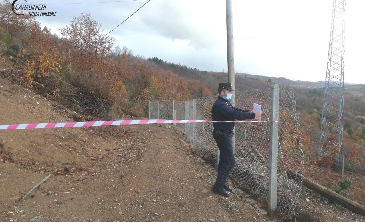 Acri: taglio abusivo, sequestro in località Ordichetto