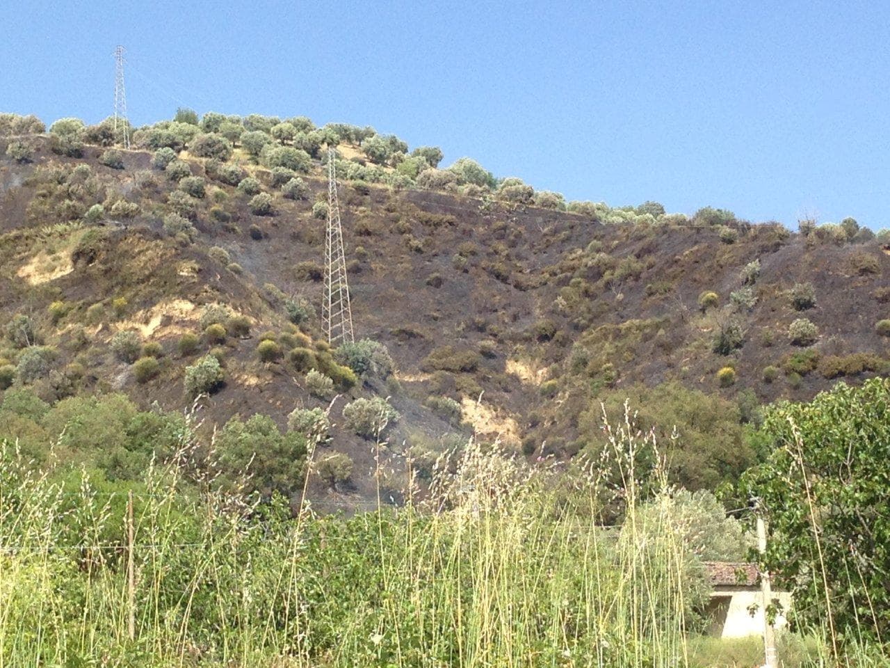 Bisignano, due persone denunciate per incendio colposo