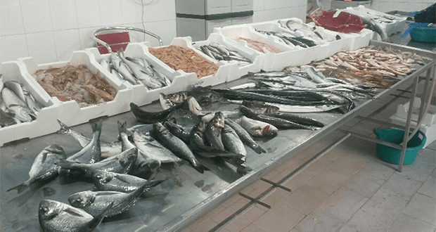 Alto Jonio, i prodotti ittici del nostro mare sempre più introvabili