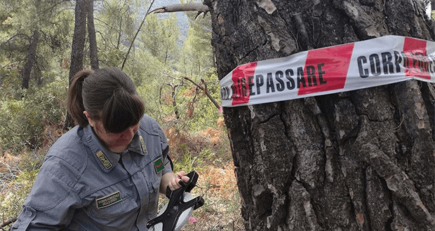 Sequestrati a Oriolo 16 ettari di bosco privato