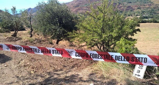 Parco del Pollino , Posta sotto sequestro pista abusiva