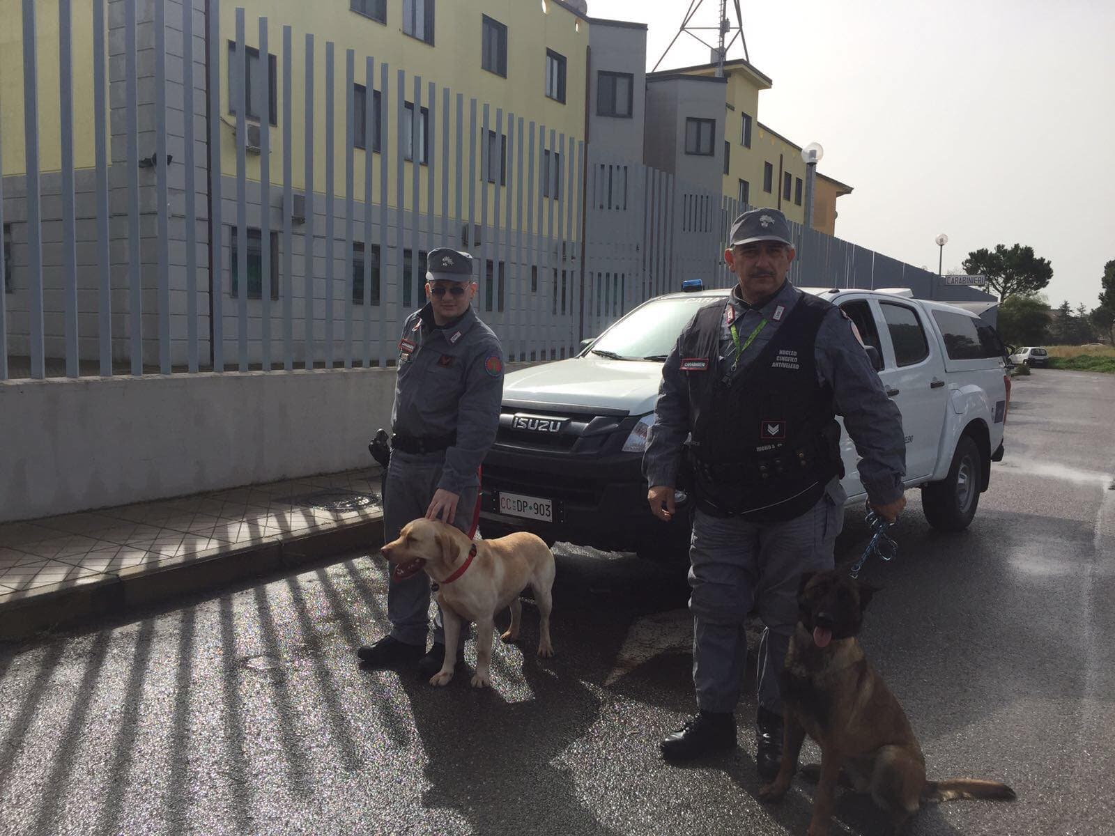 Nucleo cinofilo, avvelenati cani per procedere a rapine