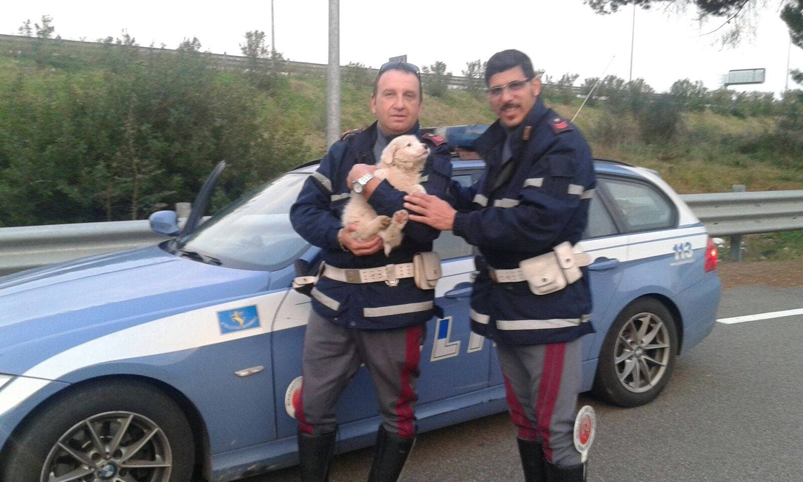 Trebisacce, la polizia salva un maremmano