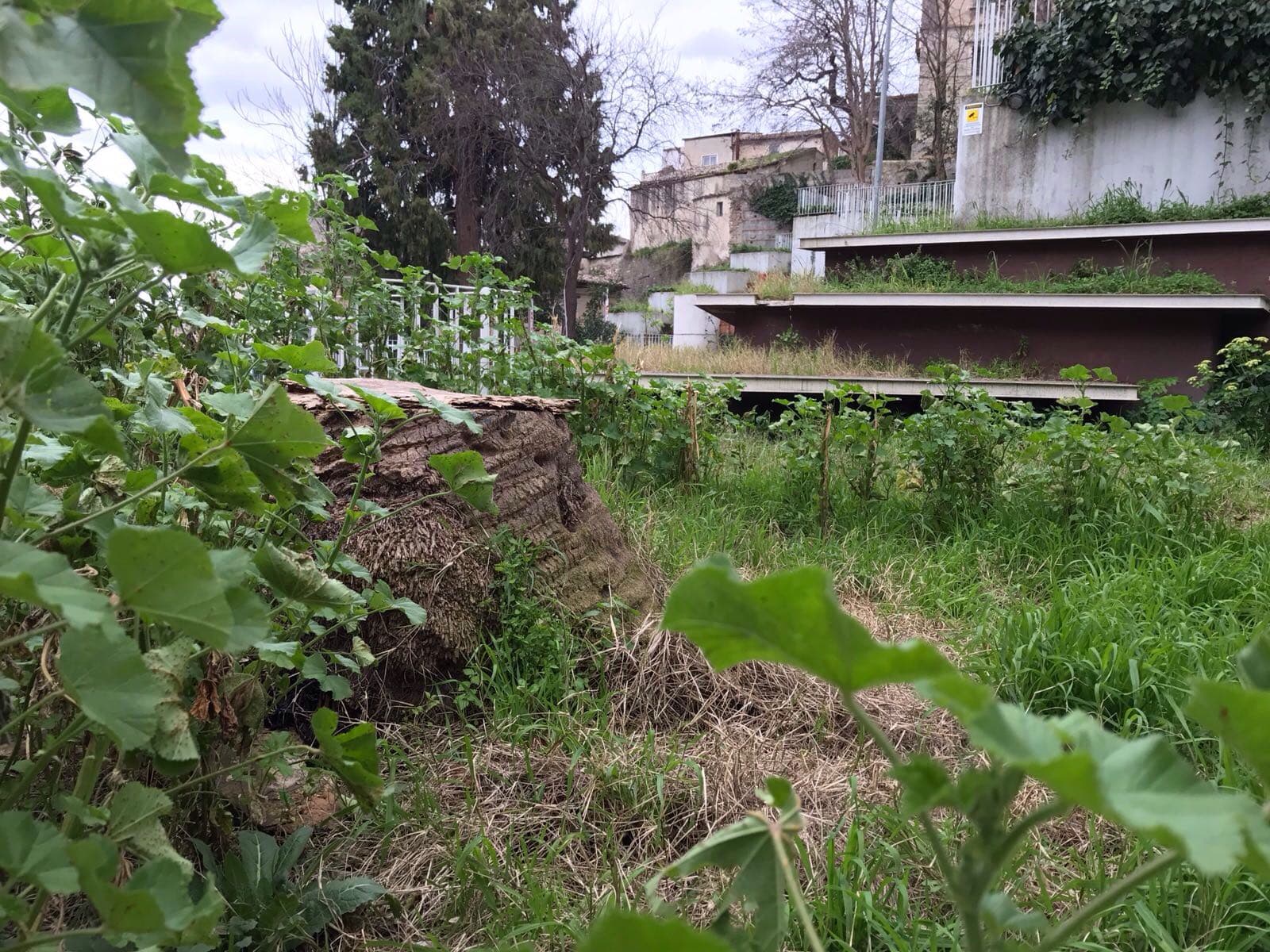 Patto sociale, Renzo: affidare Villa Labonia ai privati