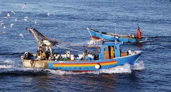 Rocca: pescatori trovano il cranio di un uomo nella rete