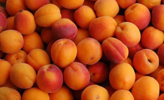 Albicocche, i ricatti della grande distribuzione