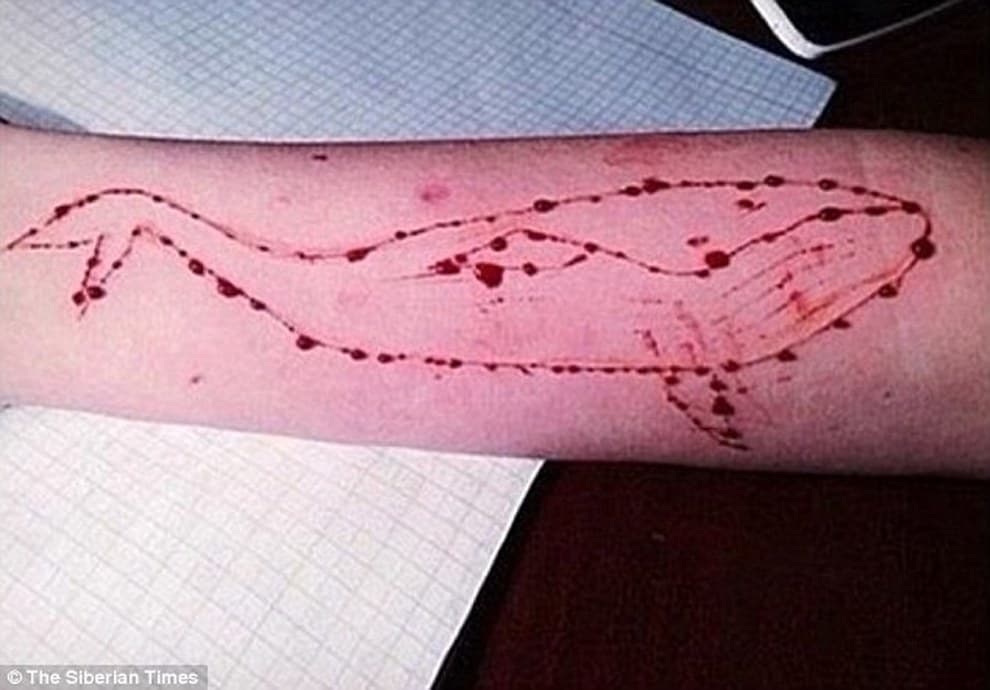Blue Whale, 16enne cosentino istigava coetanea al suicidio