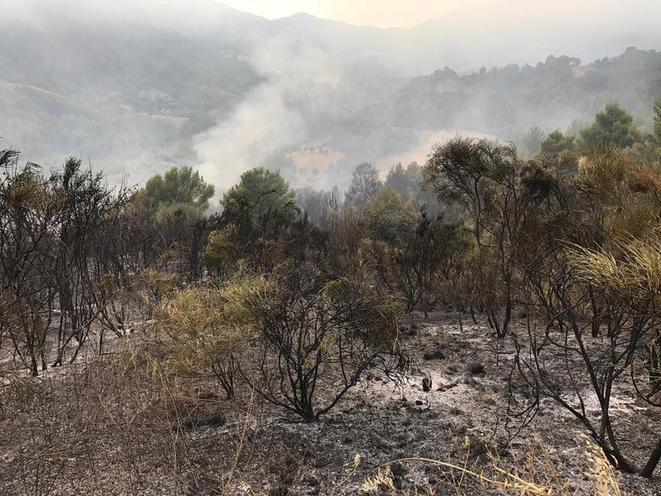 Emergenza incendi nell'Alto Jonio, si profila esposto in Procura