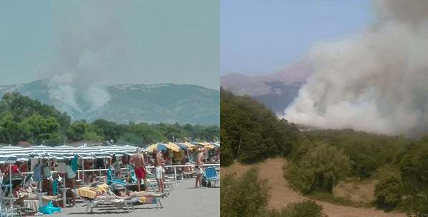 I Dottori Agronomi e Forestali Cosenza: pianificazione e gestione dei boschi per prevenire incendi