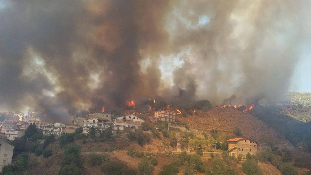Emergenza incendi: continua a bruciare il cosentino. Orribile rogo a Luzzi