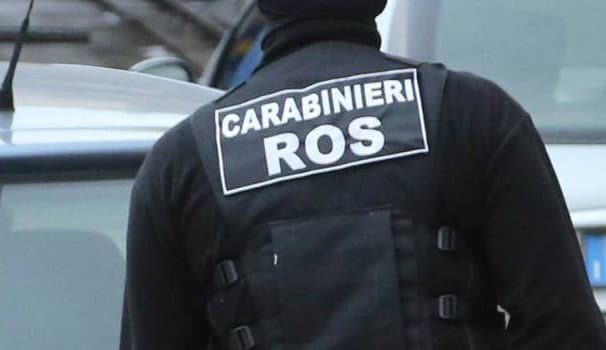 Operazione Stige, 169 in manette tra Italia e Germania
