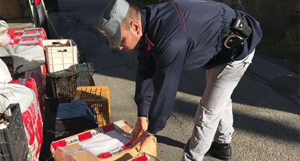 Carabinieri Forestale, sequestrati 150 kg di prodotti alimentari