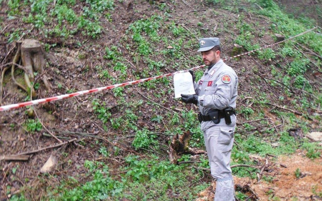 Carabinieri Forestali, due denunce per taglio abusivo ad Acri