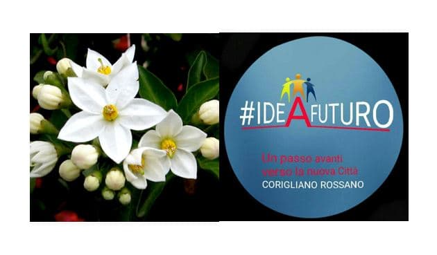 Corigliano Rossano, necessario tavolo tecnico per ridefinizione del Psa