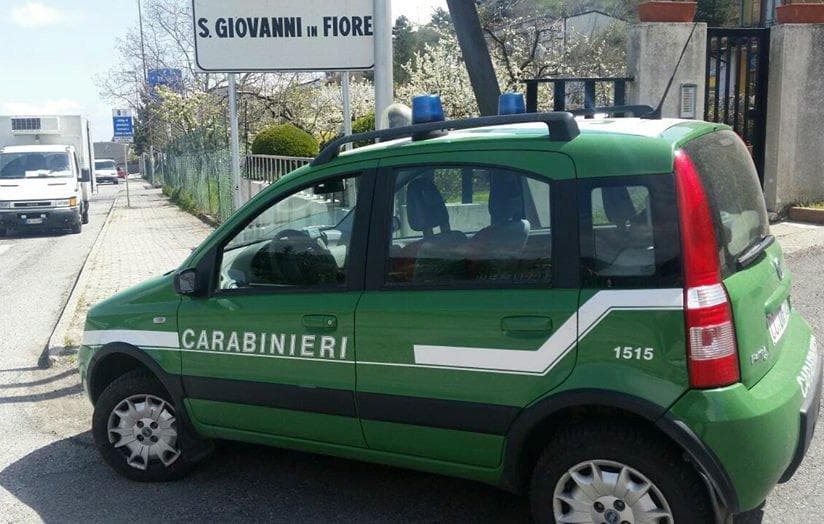 Carabinieri Forestale, controlli agroalimentari a San Giovanni in Fiore