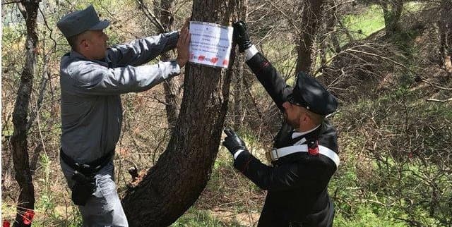 Carabinieri Forestali, sequestro boschi nell'Alto Jonio cosentino
